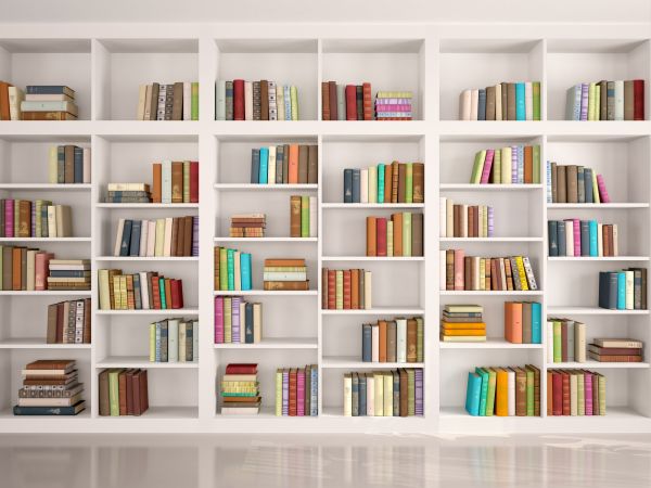 Bookshelf Assembly in Woodinville
