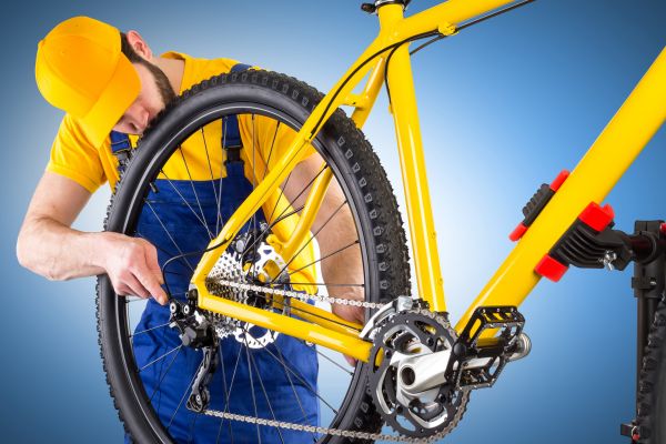 Bike Assembly in Woodinville