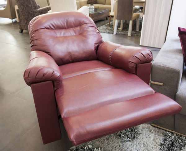 Recliner Assembly in Woodinville