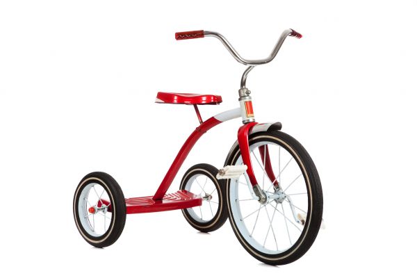 Tricycle Assembly in Woodinville