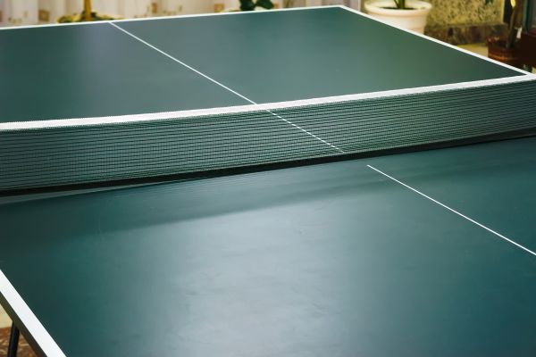 Ping Pong Table Assembly in Woodinville